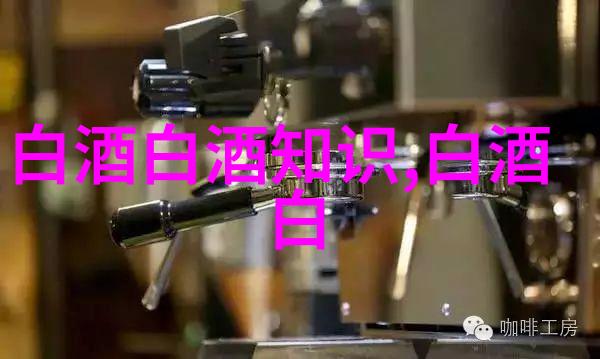 贵州茅台业绩说明会增长目标市场拓展与国际化战略